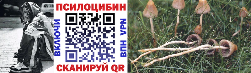 Галлюциногенные грибы прущие грибы Бронницы